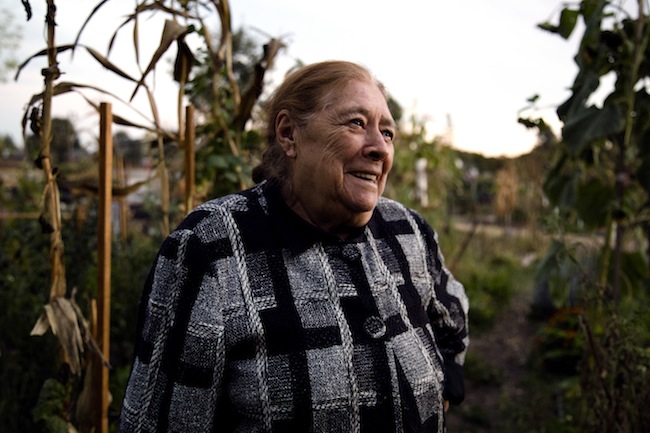 86-year-old Doña(madam) Marina Gonzalez attends the Farming for Health meetings nearly every week. She’s benefited from allergy remedies and has become close with various members of the group. Many of them refer to her as the “Abuelita” (endearing term for grandma) of the group. 