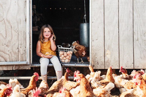 SPONSORED: Clover Sonoma Family Farm Spotlight | Made Local Magazine