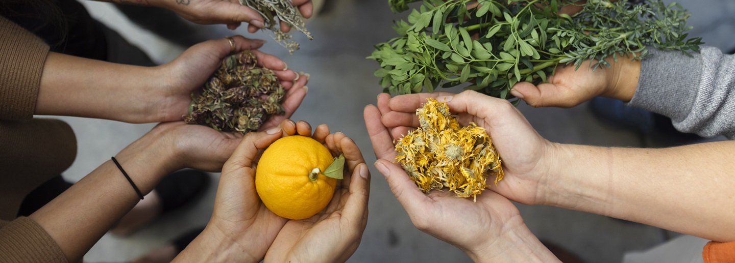 Nature’s Apothecary: Botanical Bus Bilingual Mobile Herb Clinic Provides Traditional Plant Medicine On-the-Go
