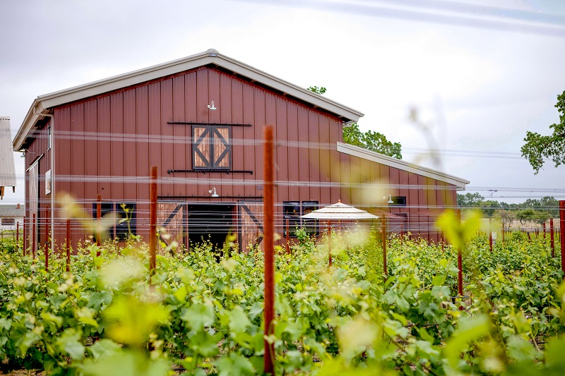 Labor of Love: Inman Family Wines