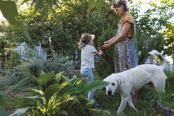 Natural Magic: Buckeye Botanicals Herbal Body Care Flows with the Rhythms of Nature.