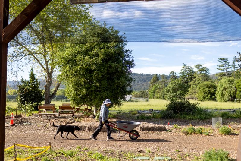 Dig in with Master Gardeners